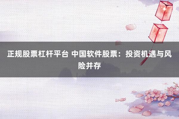 正规股票杠杆平台 中国软件股票：投资机遇与风险并存