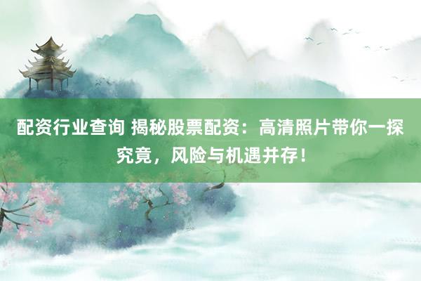 配资行业查询 揭秘股票配资：高清照片带你一探究竟，风险与机遇并存！