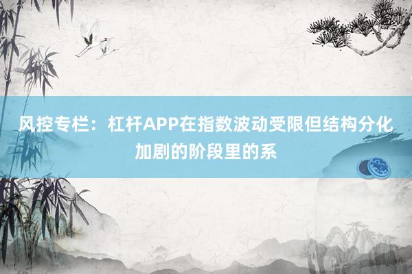 风控专栏：杠杆APP在指数波动受限但结构分化加剧的阶段里的系